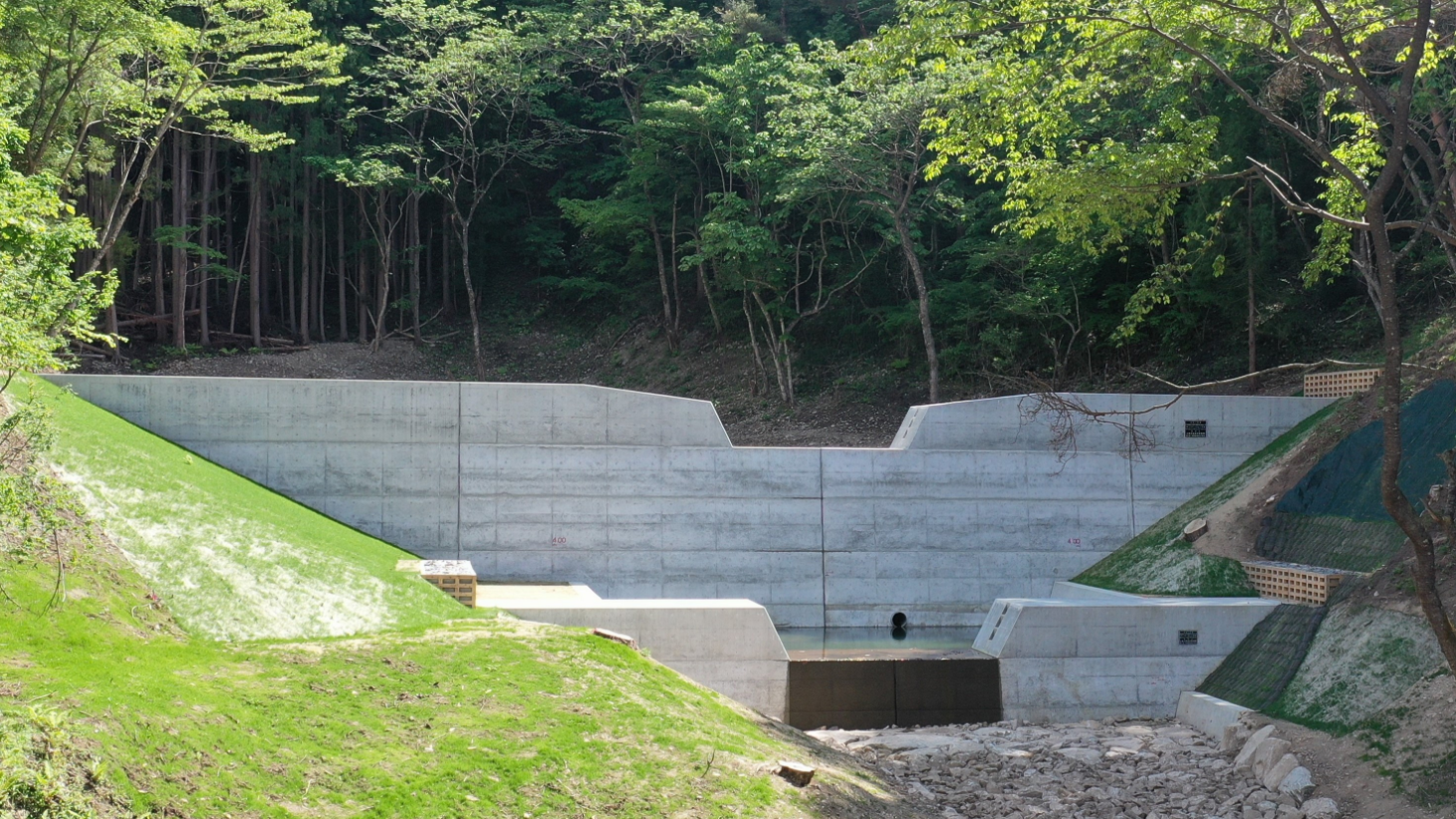 会社方針イメージ3: 森林保全活動の様子